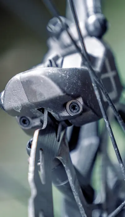 Brake Caliper Overhaul